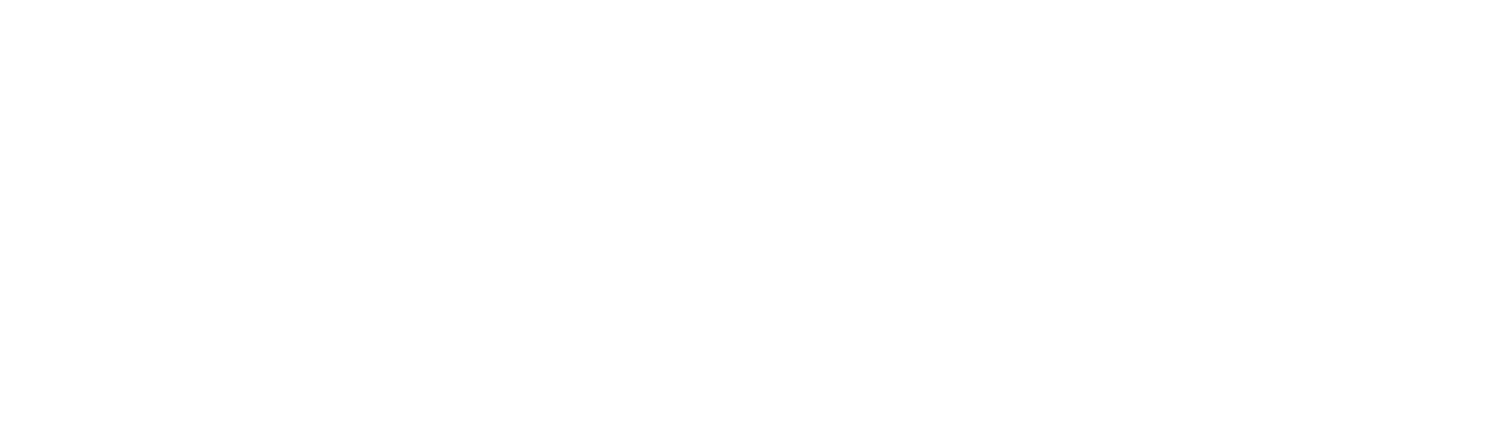 FSi Strategies