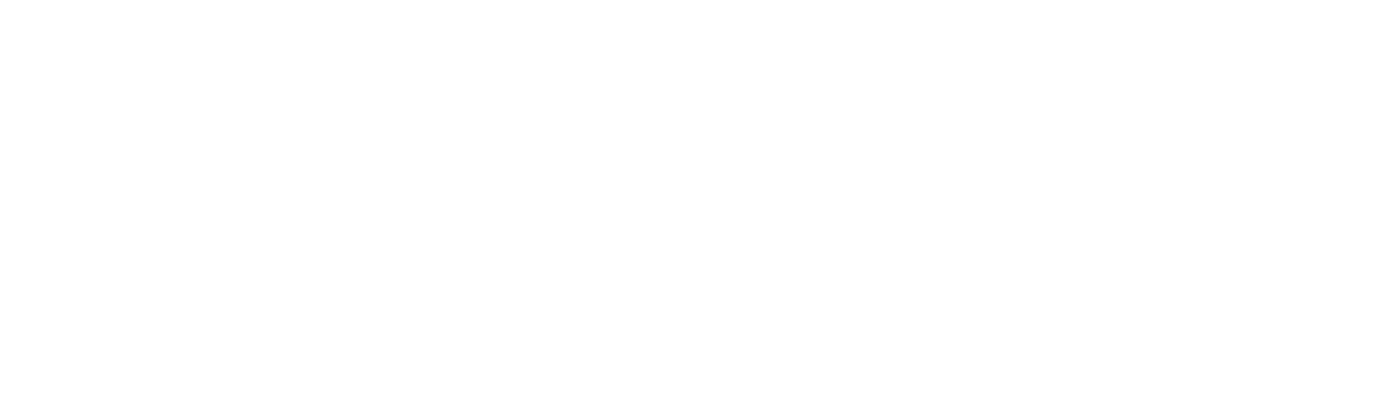Solis Security logo