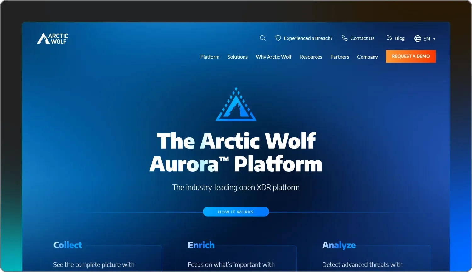 Arctic Wolf