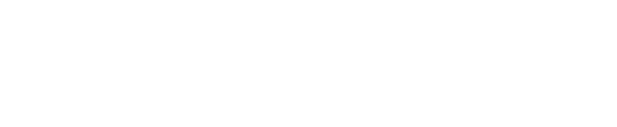 ProTek Support logo