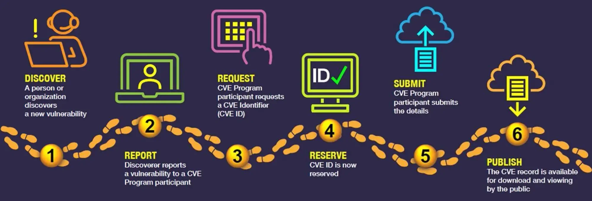 The CVE Record Lifecycle