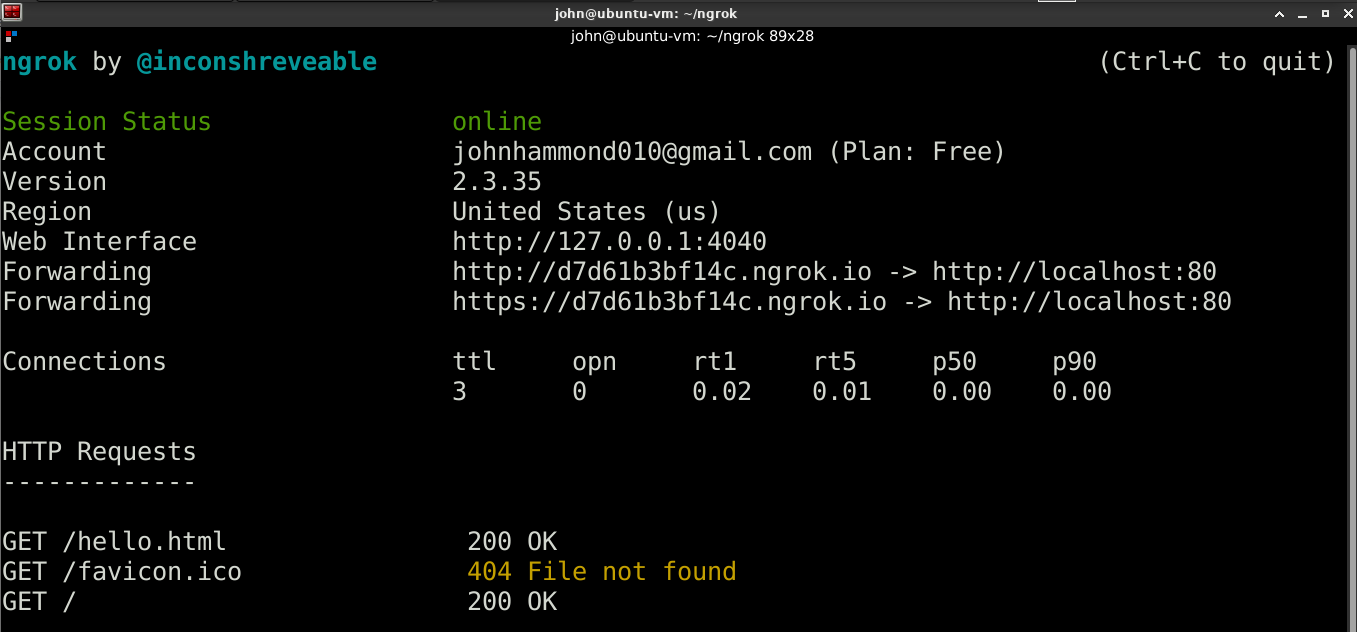 ngrok output