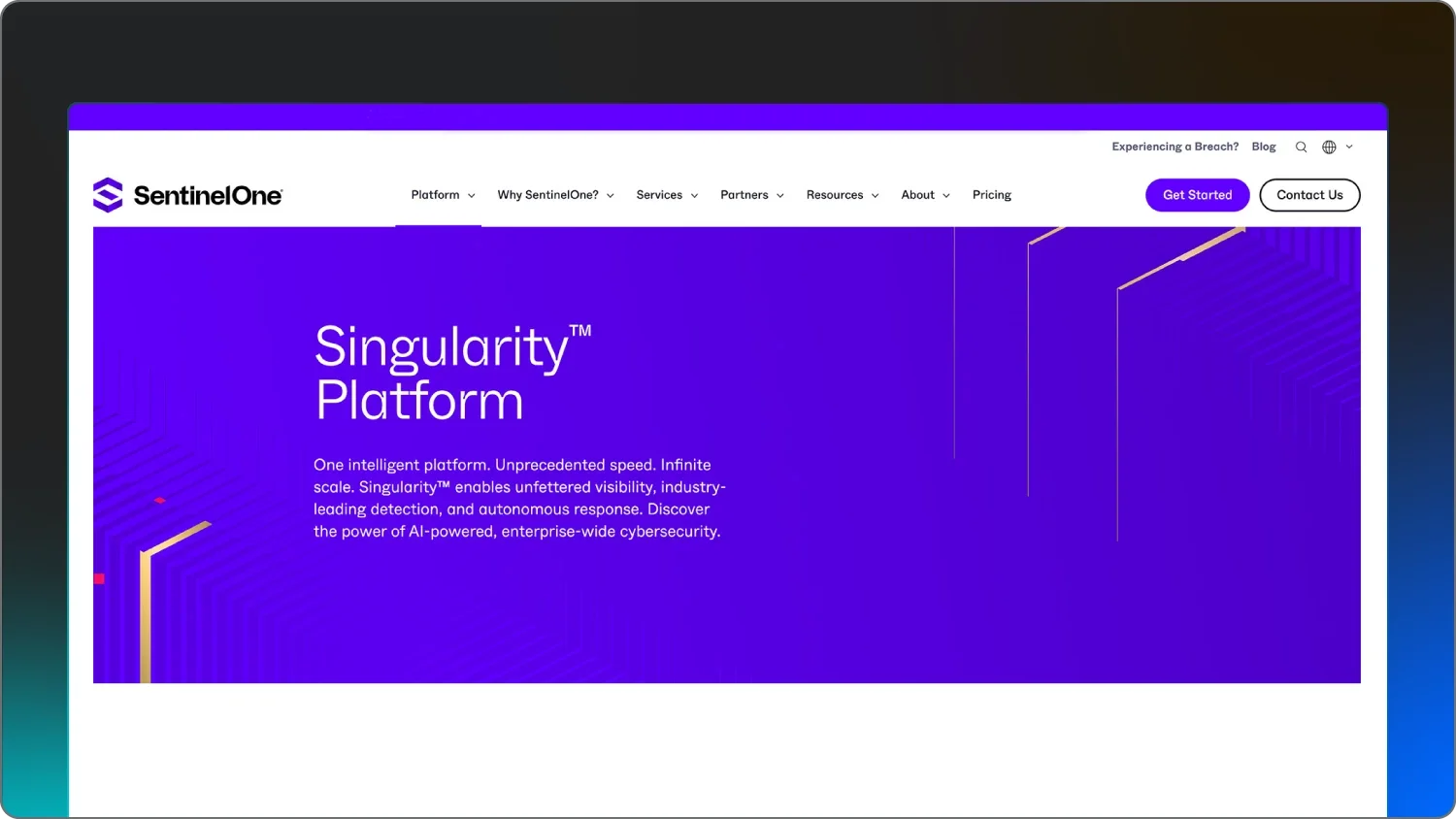 A screenshot of SentinelOne Singularity Endpoint.