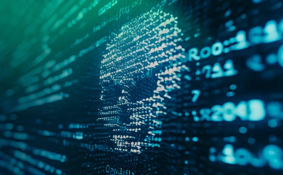 What Is Cross-Site Scripting?