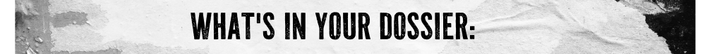 What's in your dossier