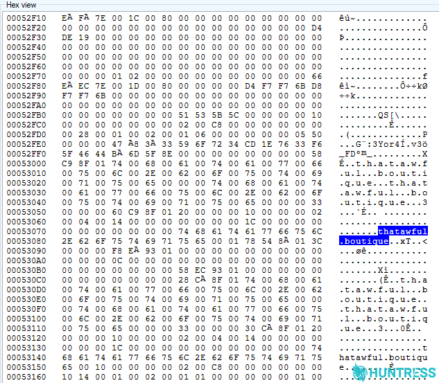 Memory dumps from the process-hollowed clspack.exe expose the C2 domain