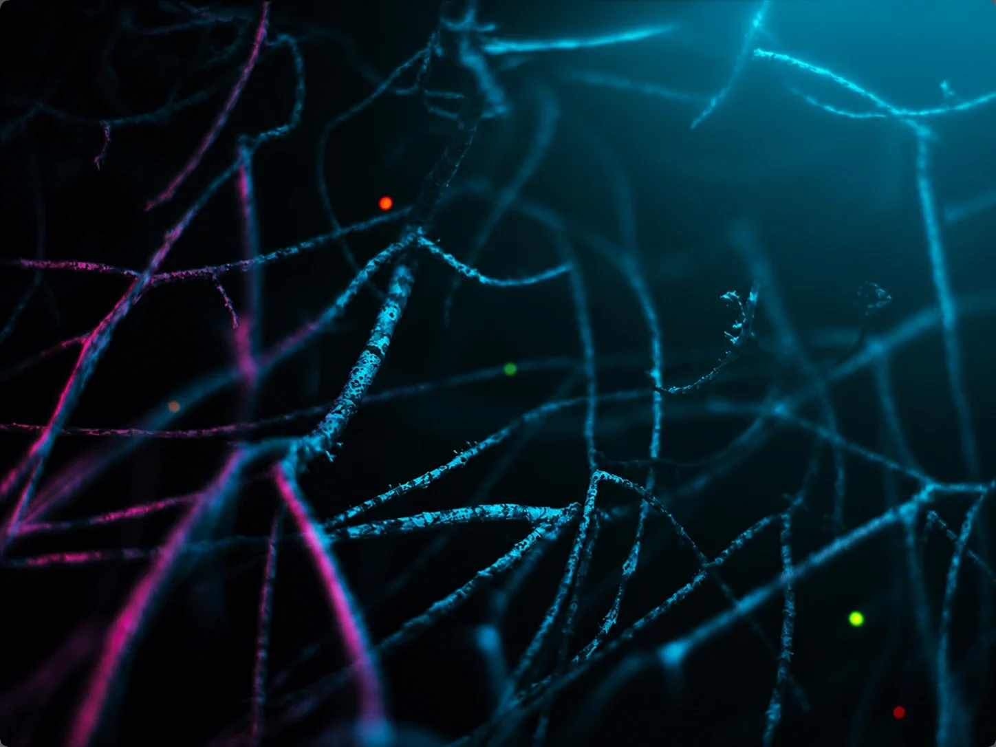 Cyber Stack Review: What Should Be In Your Stack?
