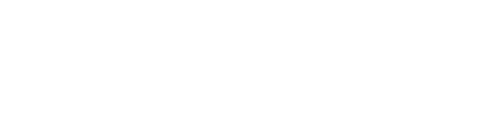 Williams Technology