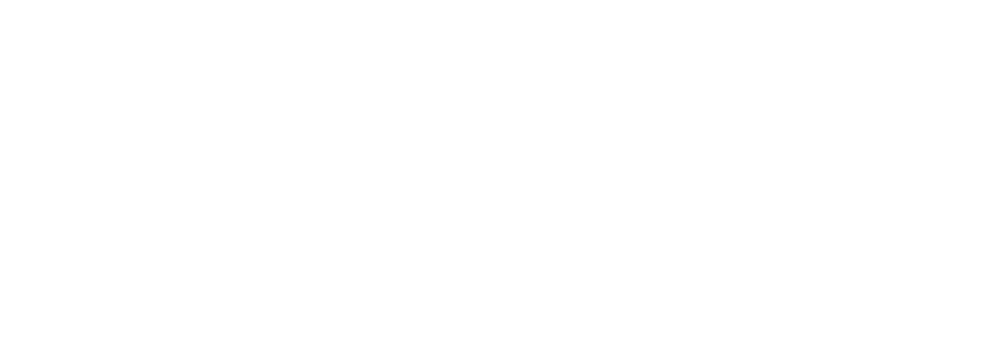 ACT Network Solutions logo