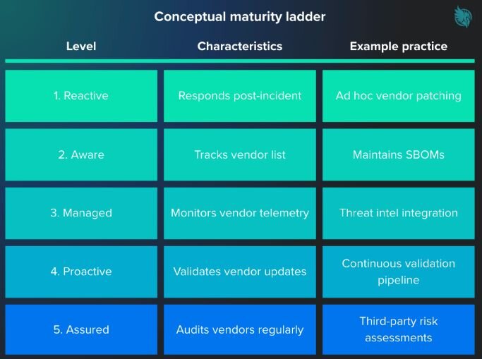 conceptual maturity ladder