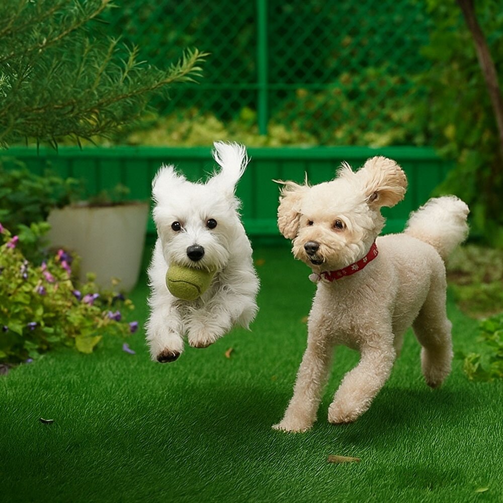 Modern question mark symbol representing frequently asked questions