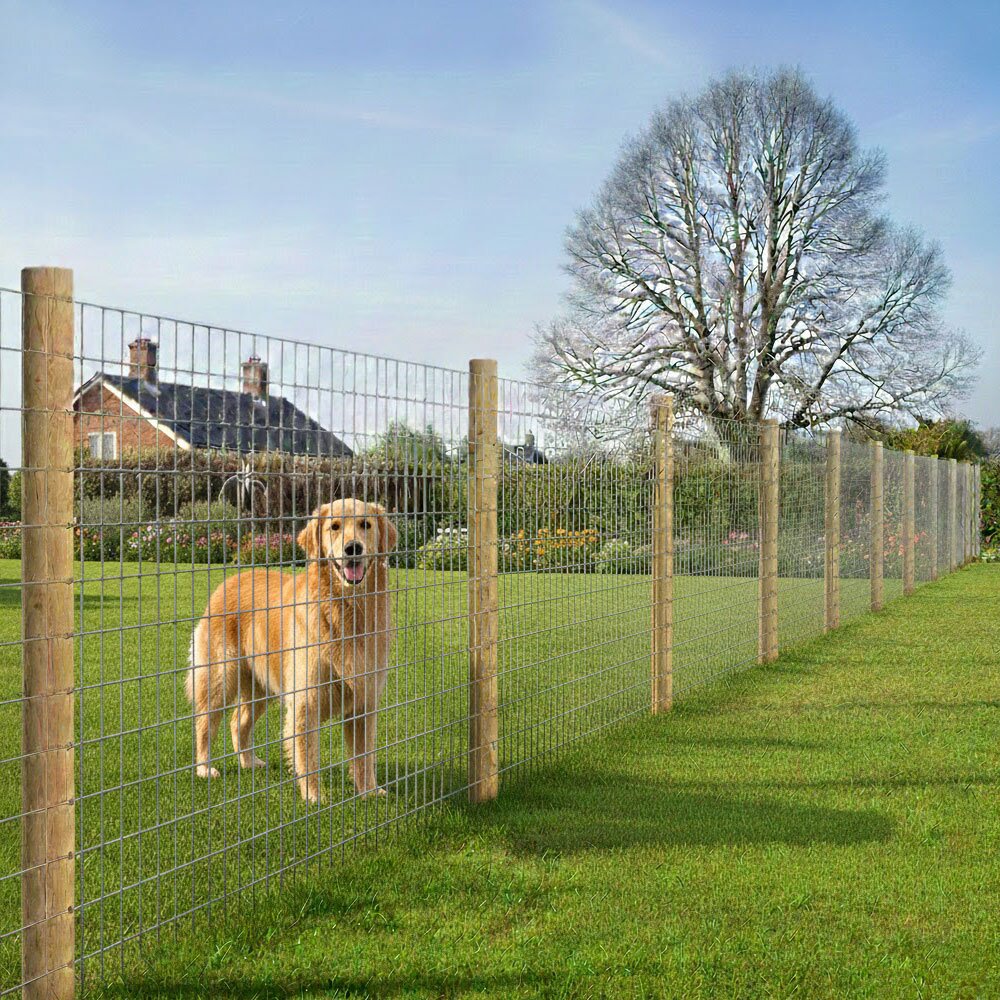 Image showing wire mesh fixed to posts