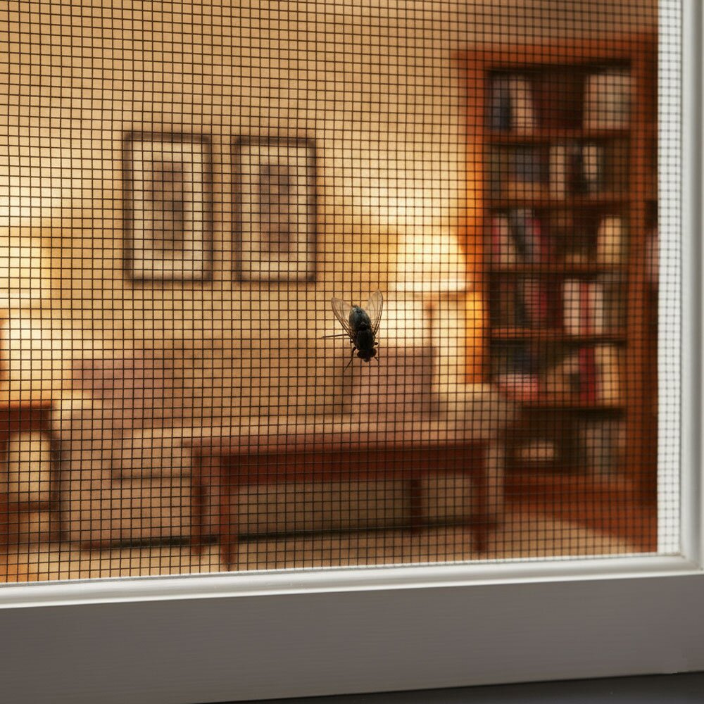 Insights and lifestyle articles about wire mesh applications