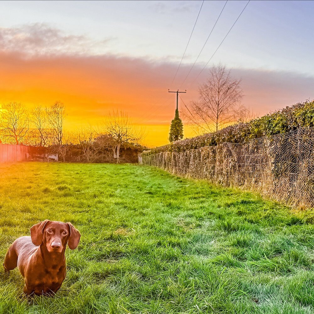 Insights and lifestyle articles about wire mesh applications