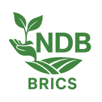 NDB (BRICS) logo
