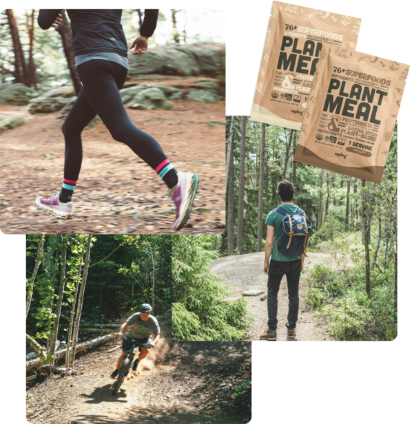 plant meal with climbers