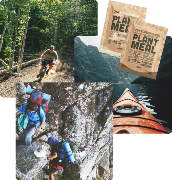 plant meal with climbers