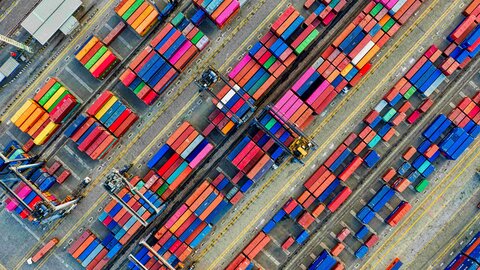 trade and business development