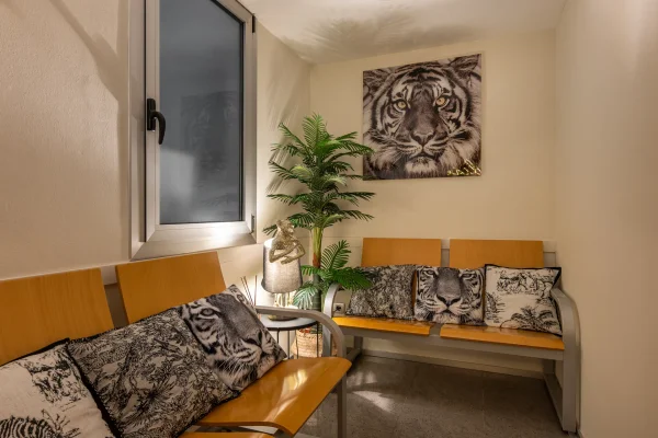 Espace d’attente avec tableau de tigre