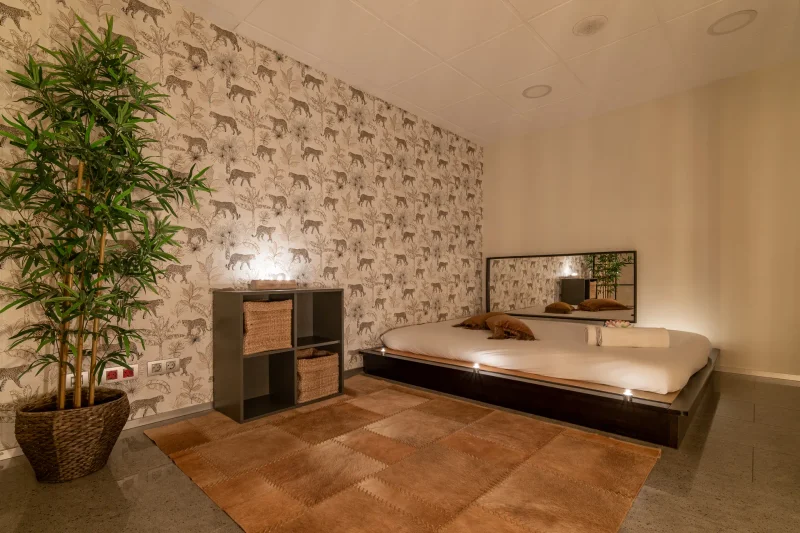 Salon de massage avec grand lit et miroir