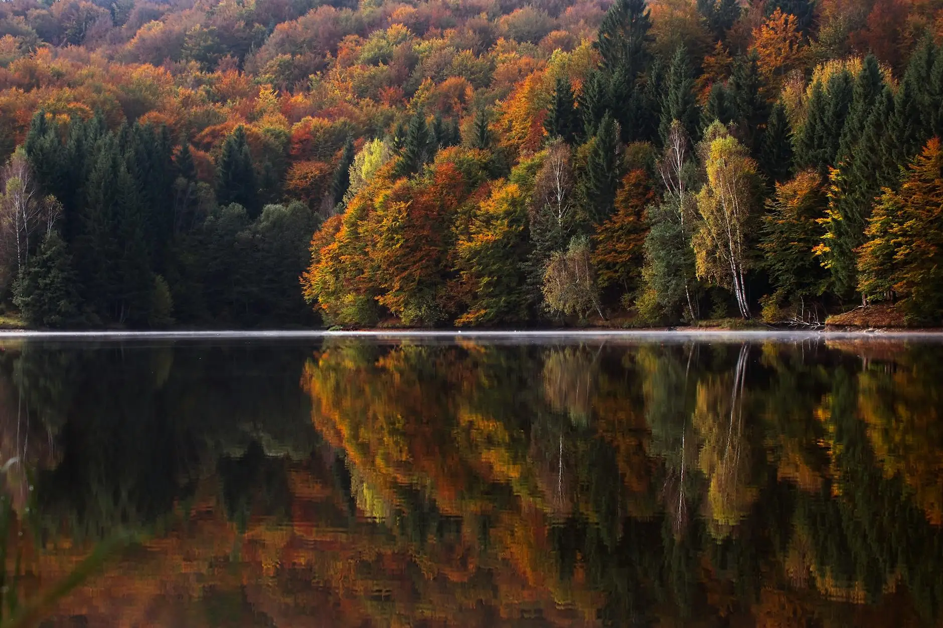 Outdoor Fall Landscape