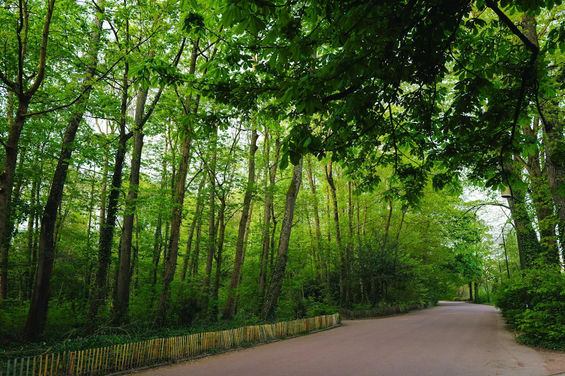 Outdoor Spring Hiking Trail
