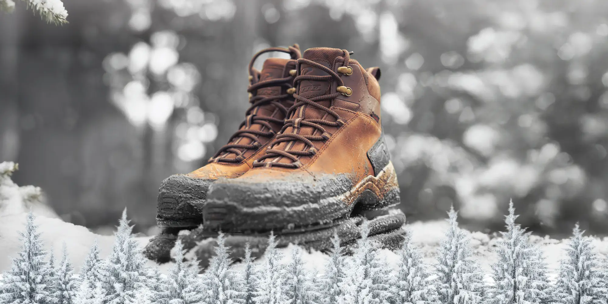Winter Boots