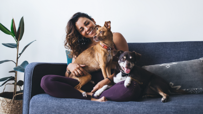 A woman sits on a couch, smiling, with two dogs resting beside her.