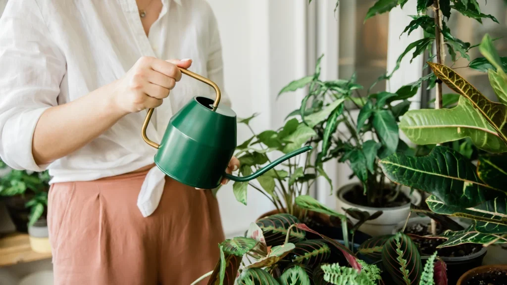 A woman waters plants indoors using a green watering can, surrounded by various potted plants in a bright room.