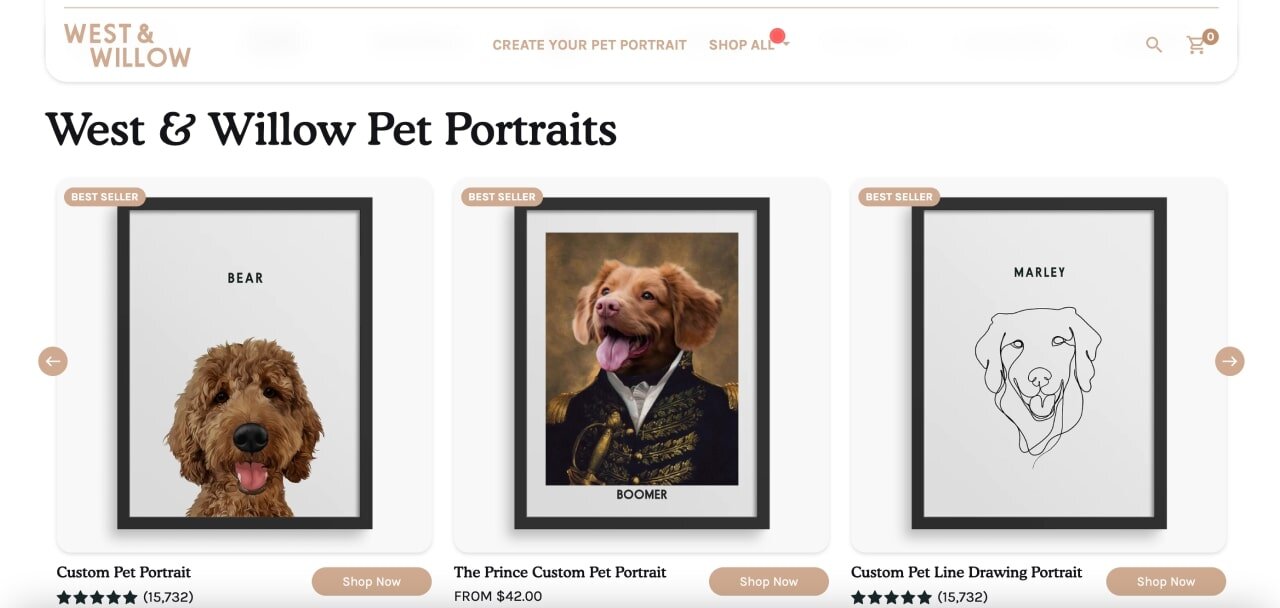 The homepage of the West & Willow Shopify store