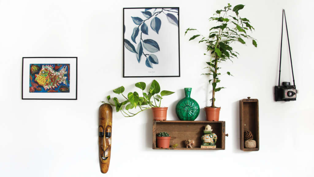 A wall decorated with various plants, wall art, and a camera, highlighting the harmony between greenery and visual storytelling.
