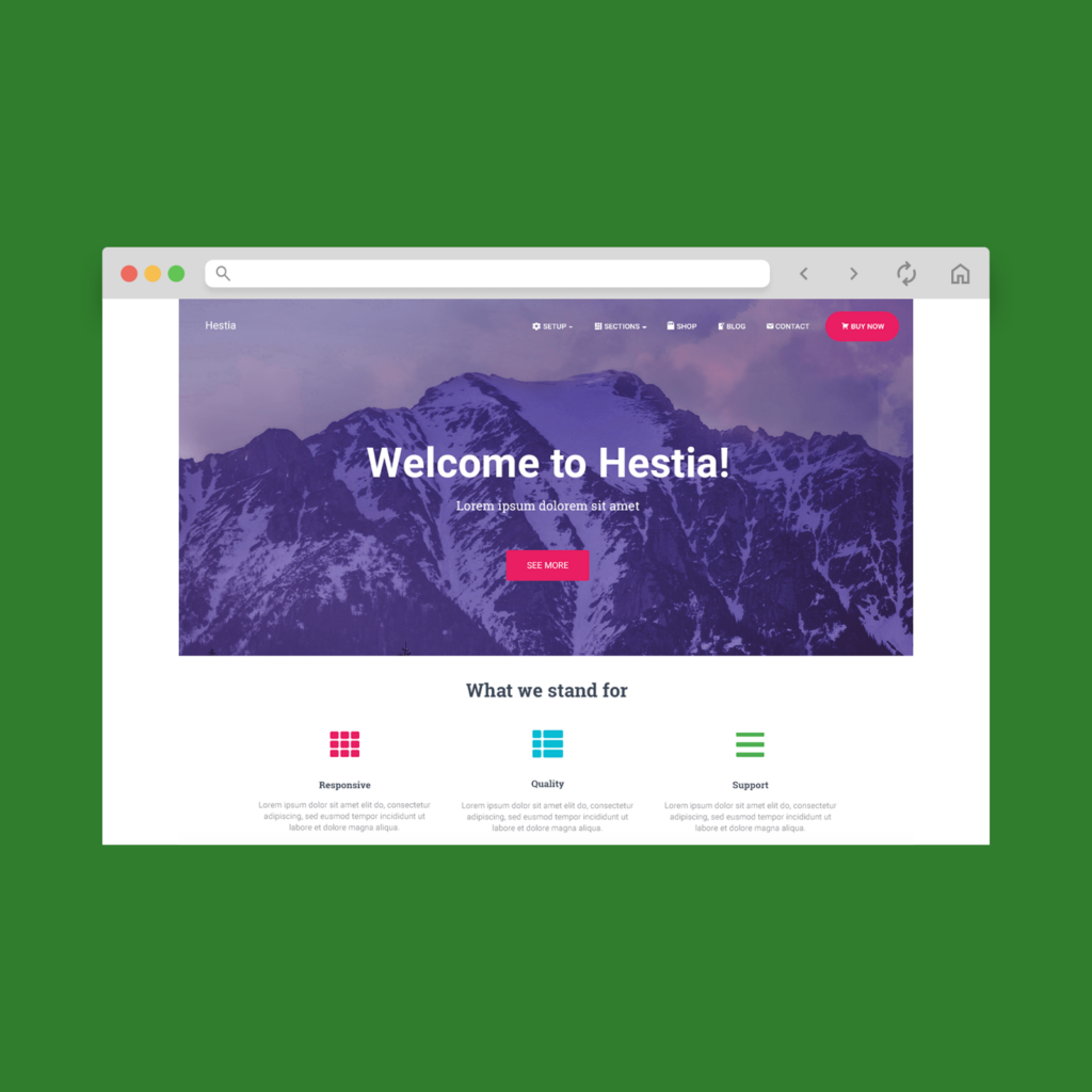 A screenshot mockup of the best free WooCommerce theme example: Hestia