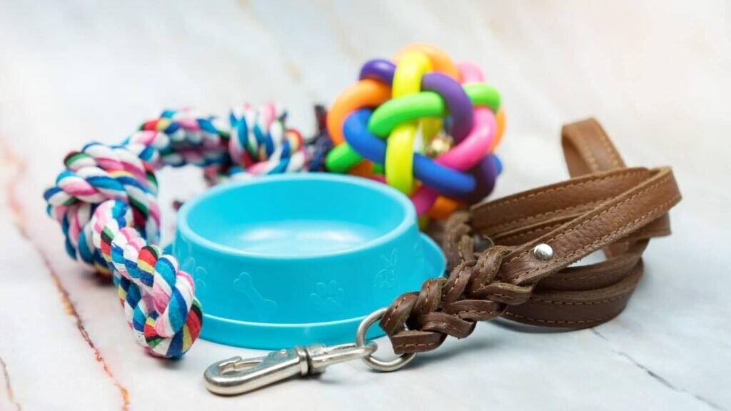 A pet bowl surrounded by dog toys.