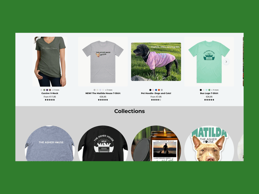 Asher House online store screenshot mockup.