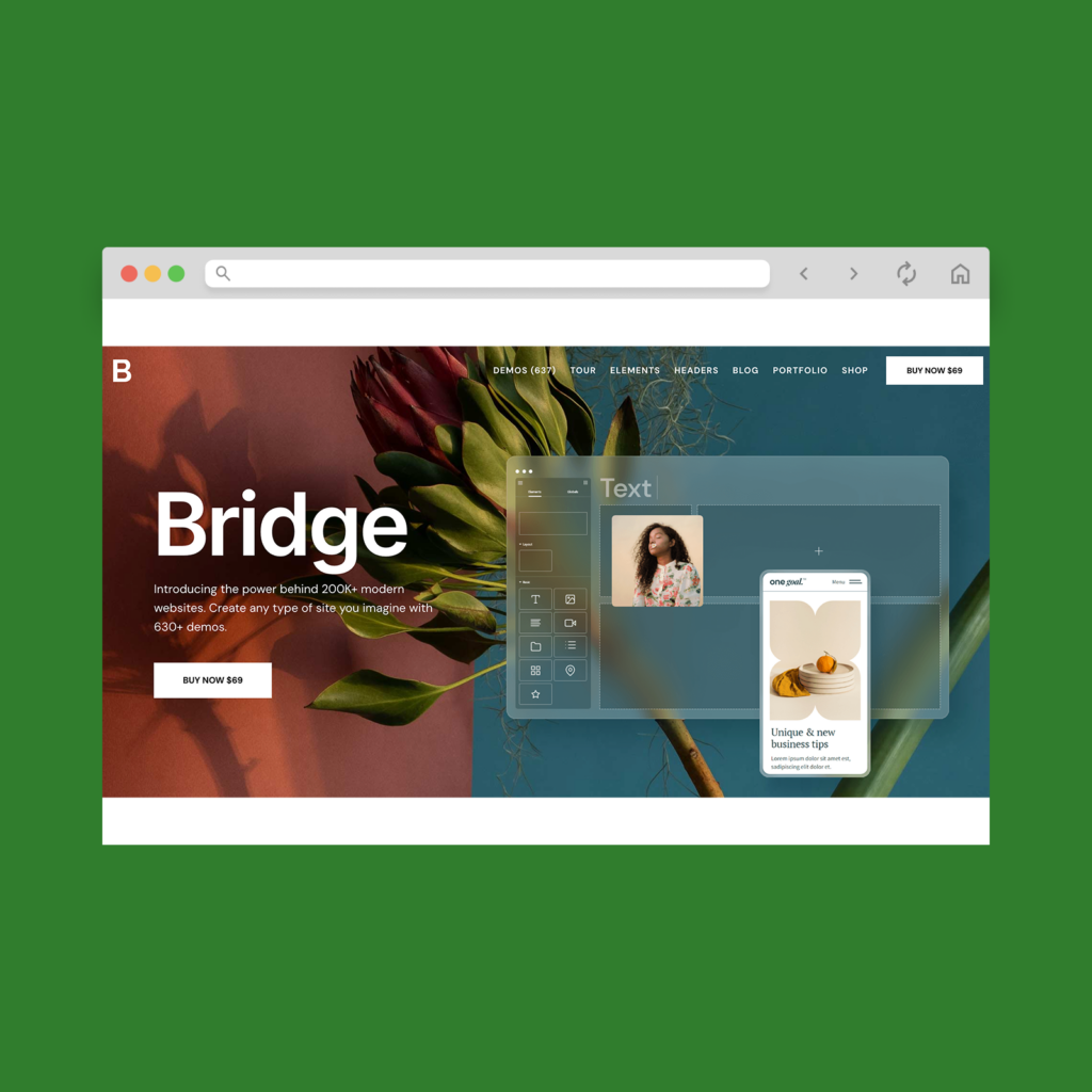 A screenshot mockup of the best WooCommerce theme example (paid): Bridge