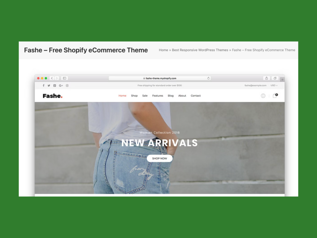 A screenshot of the Fashe theme landing page.