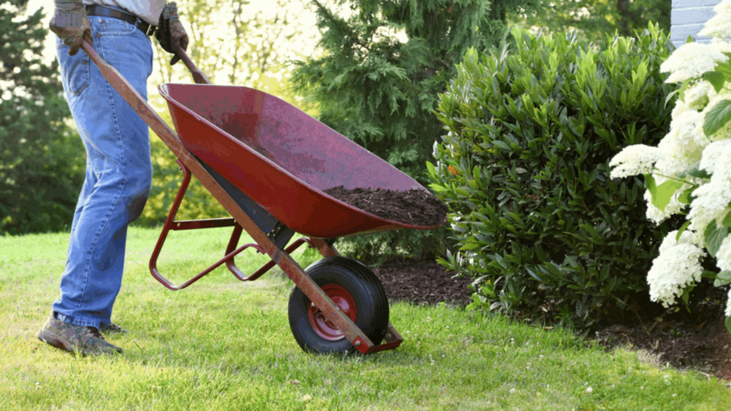A person performing yard work.