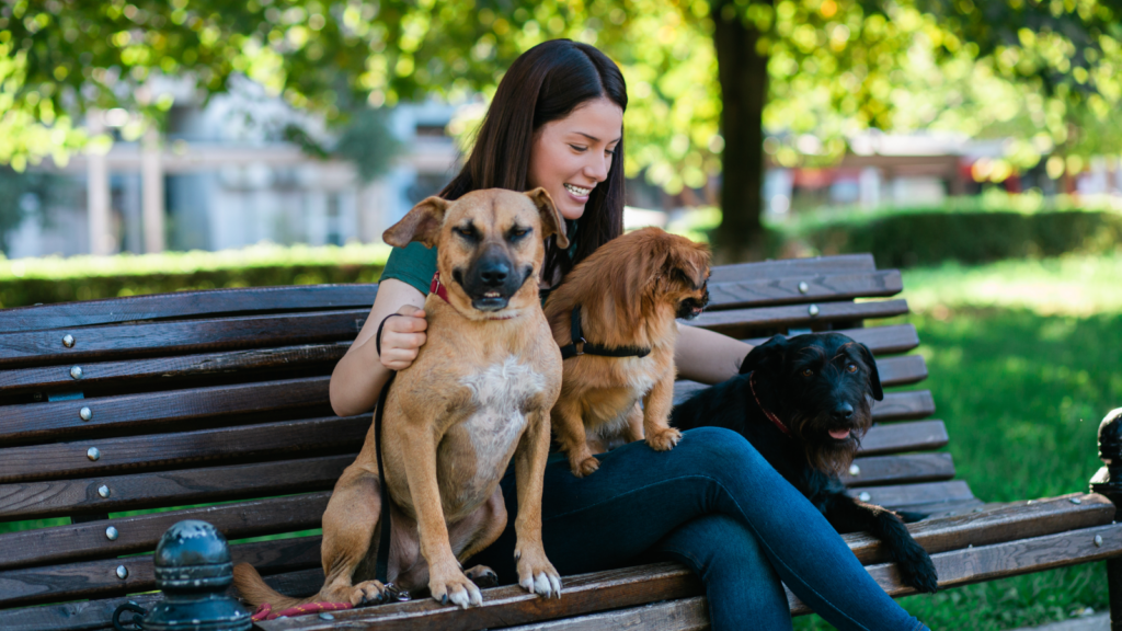 A woman sitting on a park bench with three dogs.