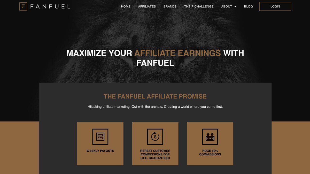 FanFuel homepage hero section screenshot.