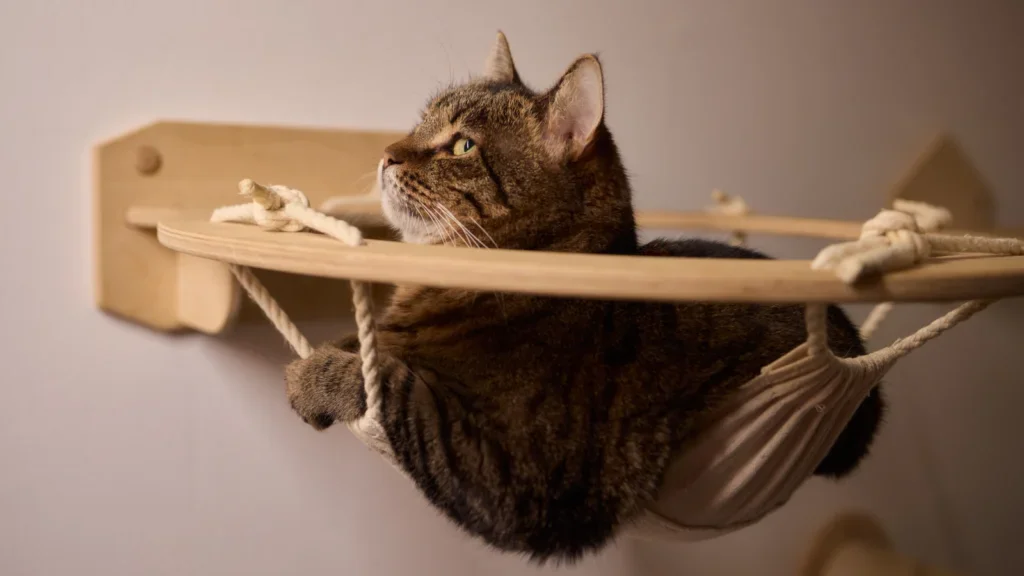A relaxed cat sitting in a hammock attached to a wall, basking in a cozy and serene environment.