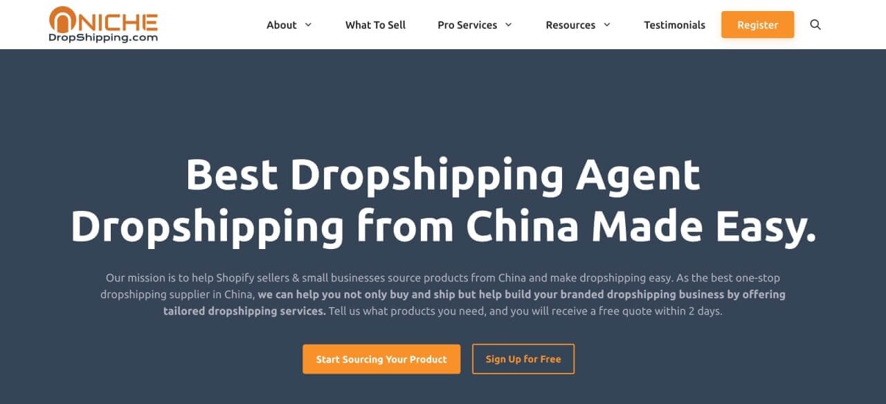 NicheDropshipping homepage hero section screenshot.