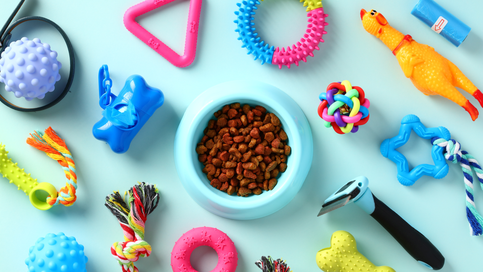 A collection of colorful dog toys and accessories, including balls, ropes, and chew items, arranged on a bright surface.