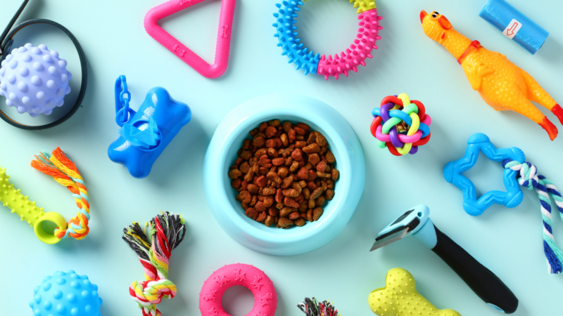 A collection of colorful dog toys and accessories, including balls, ropes, and chew items, arranged on a bright surface.