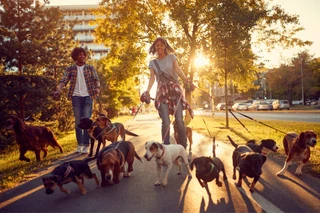24 creative ways to make money in 2026