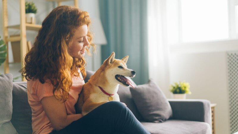 Smiling woman petting a Shiba Inu dog while sitting on a couch.