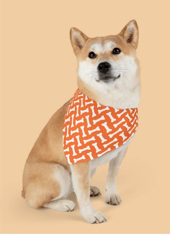 Custom pet products by Printify