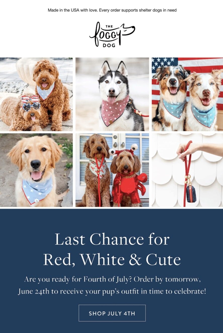 Screenshot of the 4th of July email sent by The Foggy Dog