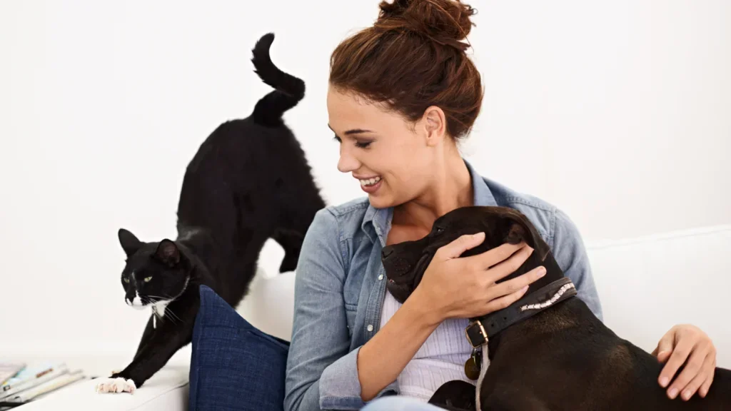 A woman in a denim shirt smiles while hugging a black dog on a couch. A black and white cat stretches nearby.