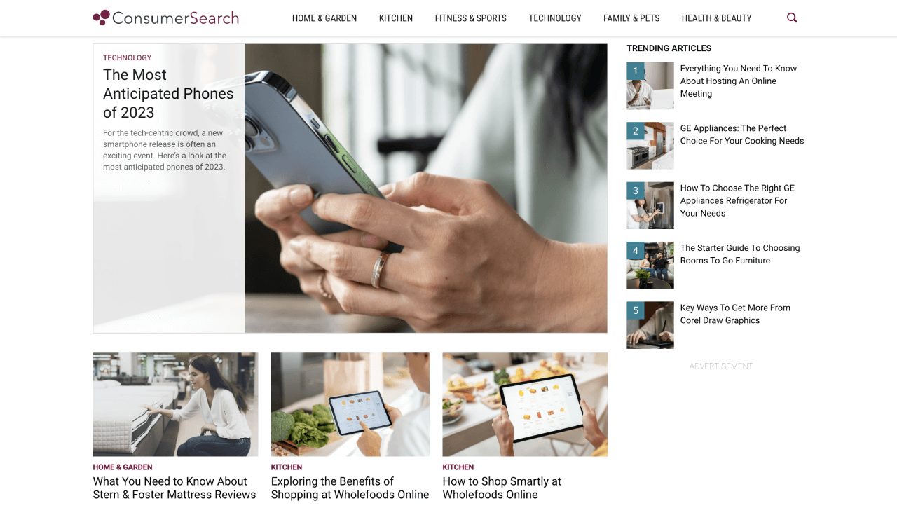 Successful Affiliate Marketing Businesses - Consumer Search
