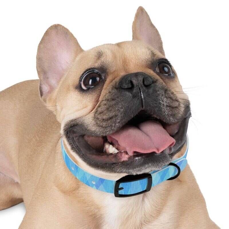 Custom Dog Shirts 38